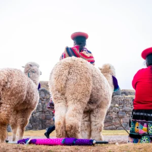 <b>Bolivia:</b> Pueblos aimaras en el Altiplano